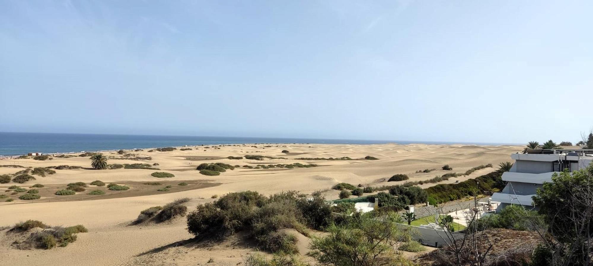 Dalius - With Pool Near The Dunes Of Maspalomas Appartement *